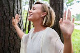 Image result for Erica whyteana