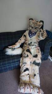 YES] Alexis the Snow Leopard Digitigrade Fullsuit by Furry Tailor |  FursuitReview