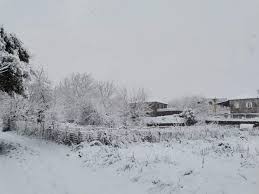 Μεγάλη φωτιά πλέον και στην αρκαδία! Sta Leyka H Arkadia Pics Arcadia Portal