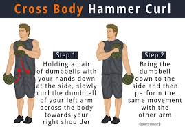 Grab your dumbbells and let them hang at your sides with your palms facing. Cross Body Hammer Curl How To Do Benefits Muscles Worked