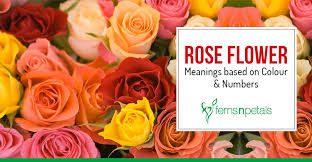 Your favorite blooms — from roses and peonies to lilies and daisies — send specific messages that you white ones signify purity, pink ones signify prosperity, red ones signify passion, orange ones signify pride, and yellow ones signify gratitude. Rose Flower Meanings Based On Colour Numbers Ferns N Petals