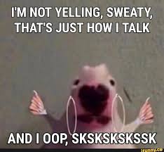 I M Not Yelling Sweaty That S Just How I Talk Ifunny Funny Memes Love Memes Memes