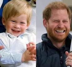 Prince Harry and Meghan Markle's Son Archie's Parentage