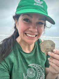 Where to find cool seashells and sand dollars in Pensacola Beach?