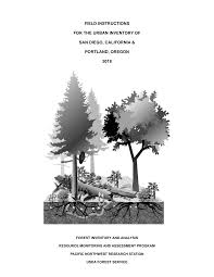 Image result for Cassipourea mollis