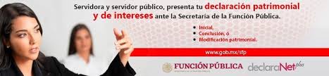 Refers to person, place, thing, quality, etc. Declaracion Patrimonial Spc Conanp