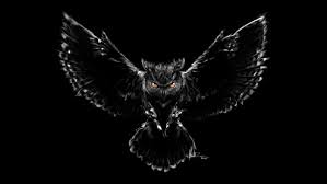 Support us by sharing the content, upvoting wallpapers on the page or sending your. Hd Wallpaper Nightmare Owl Black Scary Wallpaper Flare