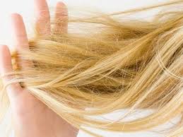 And the truth is, damaged hair requires special care. Best Tips For Coloured And Damaged Hair Misskyra Com