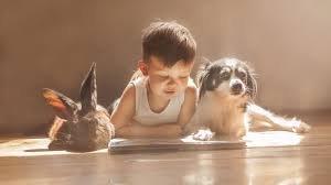 Nettes Baby Kaninchen Und Hund Freunde 3840x2160 Uhd 4k Hintergrundbilder Hd Bild Over 40,000+ cool wallpapers to choose from. nettes baby kaninchen und hund