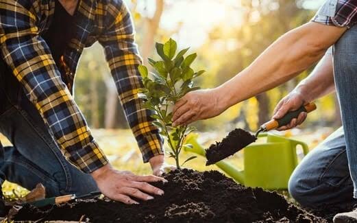 Nature Conservation Day: History, Importance and steps to Conserve Nature -  Club Mahindra