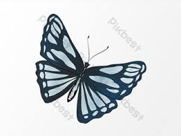 Gambar lapangan bola basket lengkap dengan gawang dan ukurannya. Lukisan Gambar Rama Rama Kartun Hitam Putih