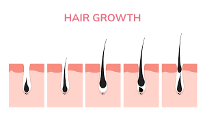 On average, the hair started growing back 3.3 months after stopping treatment. Can You Have Waxing Regrowth After 1 Week