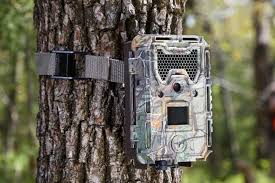 Oct 17, 2017 · yamasa tokei keiki co., ltd. Bushnell Trophy Cam Hd Aggressor Camo 24mp 119875 Bushnell Night Vision Trophy