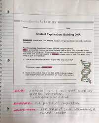 Rna and protein synthesis gizmo answer key micropoll university of utah dna to protein learn genetics. Https Info Explorelearning Com Rs 481 Gdx 029 Images Using Simulations With Interactive Notebooks Pdf