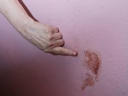 La sangre de Silvia no se borra