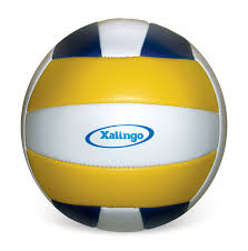 We did not find results for: 38 Ideias De Bola De Volei Voleibol Volei Bola