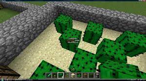 Con esta aplicación como sembrar cactus, encontraras una excelente herramienta muy útil para ampliar conocimientos y aprender sobre variedad de cactus, como preparar el sustrato, formas de propagación, algunas preguntas frecuentes y todo lo relacionado sobre como sembrar cactus. Minecraft Tutorial Plantacion De Cactus Youtube