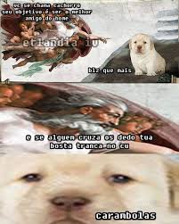 Eh Molebuttface Alex Benedith Funny Memes Kpop Memes Memes