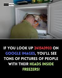 Image result for 241543903