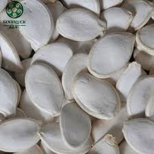 1~1000 usd minimum order quantity: China High Quality Hot Sale Chinese Export Snow White Pumpkin Seeds On Global Sources Melon Seed Nut Pumpkin Kernel