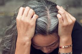 Study Reveals That Stress Actually Does Cause Gray Hair Earth Com