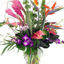 72 lafayette rd, hampton falls (nh), 03844, united states. Flowers By Marianne Hampton Falls Nh Florist