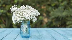 Small flower bouquet small flowers pastel cake little flowers crayon art melting crayons color boards. Wallpaper White Little Flowers Bouquet Bottle 5120x2880 Uhd 5k Picture Image