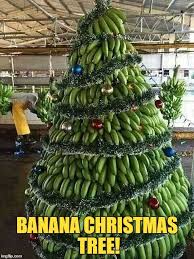 Image result for funny christmas trees