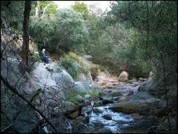 We did not find results for: Sweetwater Creek Nature Reserve Melbourne