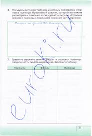 гдз по русскому языку 6 класс бабайцева и беднарская Gdz 6 7 Klass Russkij Yazyk Babajceva Bednarskaya Sbornik Zadanij American Pie Algebra The New Adventures Of Old Christine