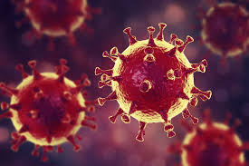 Maybe you would like to learn more about one of these? C Est Quoi Un Coronavirus Origine Nom Mutation Symptomes