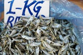 Ikan berukuran cukup besar dengan daging yang empuk dan tebal ….hmm rasanya yummy jika telah siap saji. Arti Mimpi Makan Ikan Sering Dikaitkan Dengan Hal Baik Bagaimana Bila Mimpi Makan Ikan Asin Halaman 2 Tribun Batam