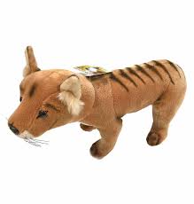 Here, time is suspended. music video for french artist thylacine. Tasmanian Tiger Thylacine Soft Plush Toy Cooper Stuffed Animal 30cm Bocchetta Plush Toys