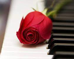 roses timeline photos facebook piano art music mix music heals