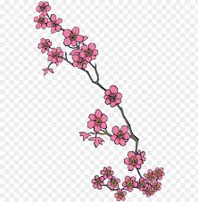 Ink Pencil Black White Flower Sketchtransparent Stock Cherry Blossom Design Transparent Png Image With Transparent Background Toppng 🌸 symbol with name and meaning. cherry blossom design transparent png