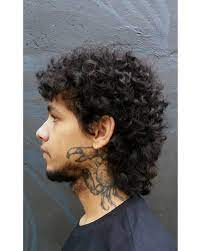 We did not find results for: Pin By Plastictrees On Myhairideas Mullet Hairstyle Curly Hair Styles Curly Hair Men