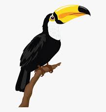 Gambar burung wallpaper sketsa burung karya fran giffard. Sketsa Gambar Burung Beo Free Transparent Clipart Clipartkey