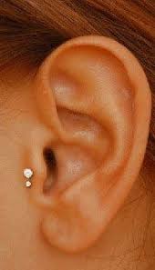 Tragus Piercing Tragus Piercings Cute Piercings Ear Piercings