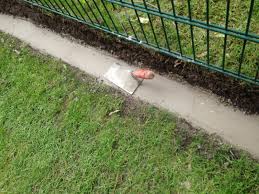 Rasenkantensteine Leicht Und Einfach Verlegen Pflanzbeete Anlegen Mit Rasenkentensteinen Rasenkantenstein Anlegen Rasenkante Setzen Rasen Mahkante Setze Garten Landschaftsbau Rasenkanten Rasenkantensteine