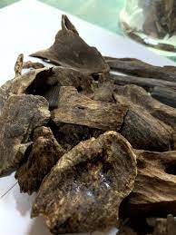 老惠安越南芽莊紅土沉香 沉水 sinking in 2020 food yum meat jerky