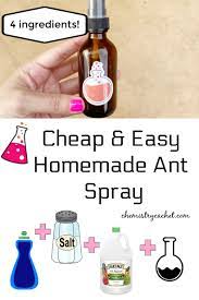 Wring dry kitchen rags and sponges and hang outside to dry or store overnight in a sealed plastic bag or container. Chemistry Secrets Cheap Easy Homemade Ant Spray