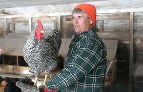 Home is where the hens are