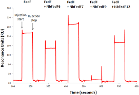 A trace amount of non igg proteins was not isolated and remained in this precipitate. Nanobody Mediated Inhibition Of Attachment Of F18 Fimbriae Expressing Escherichia Coli