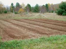 I styled the rows with narrow paths across the hill. Making Using Permanent Raised Garden Beds By Sue Robishaw