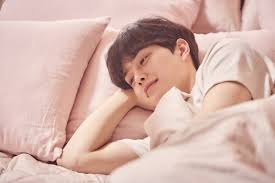 Hong kong television drama (chinese: Song Kang Dramas List Love Alarm Navillera And More