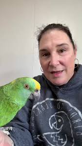 Bird Rescue Sanctuary