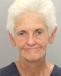 Police: Distraction theft group stole credit cards from Volusia residents