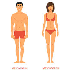 Fat free mass (ffm) is calculated by subtracting body fat weight from total body weight: Body Types The Ectomorph Endomorph And Mesomorph Living Healthy