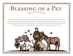 We adore you, o lord jesus christ, in this church and all the churches of the world, and amen. Churchpublishing Org St Francis Blessing Of A Pet Certificate English Edition