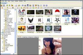 Best photo viewer, image resizer & batch converter for windows. Xnview Full Xnview 2 49 4 Screenshot Freeware Files Com 2016 Prathama Raghavan